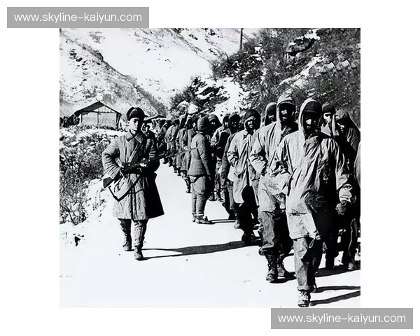 樱与剑的交锋:日本与朝鲜,历史的恩怨与未来的对话